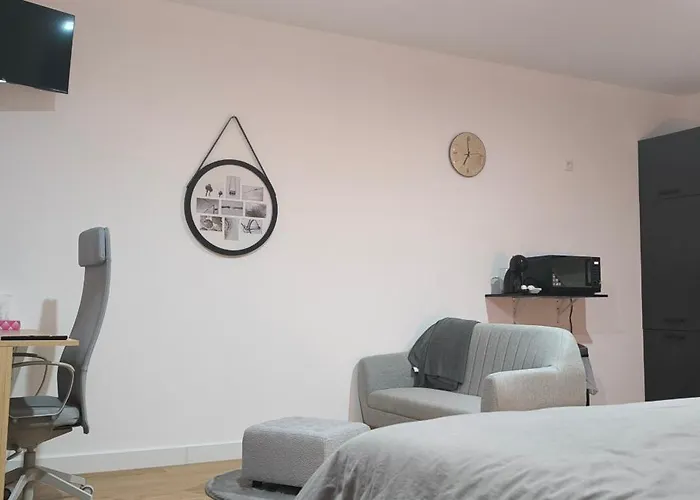 Charmante Studio 45M2